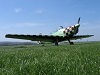 thumb_img_8986_kolaz.jpeg